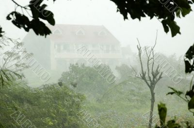 Typhoon Typhoon