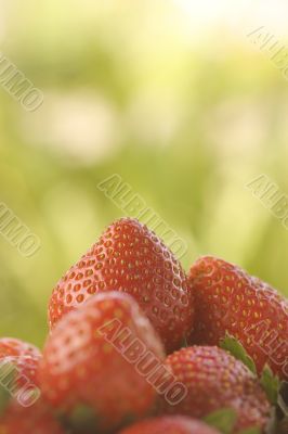 Strawberry