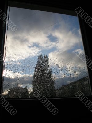 rainy window