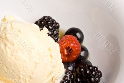 fruit fruit