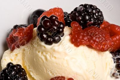 fruit fruit