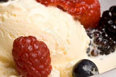 fruit fruit