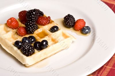 fruit fruit