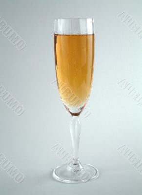 Champaign glass Champaign glass