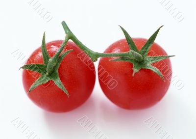 Red tomatos Red tomatos