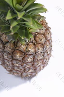 Freshness pineapple