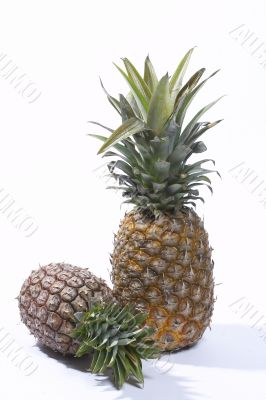 Freshness pineapple