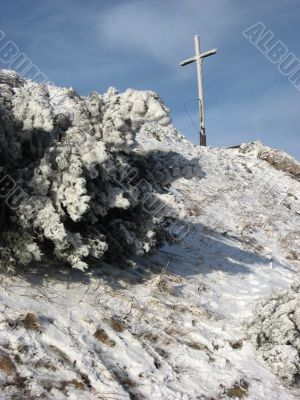 Winter Winter