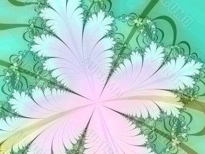 white flower fractal