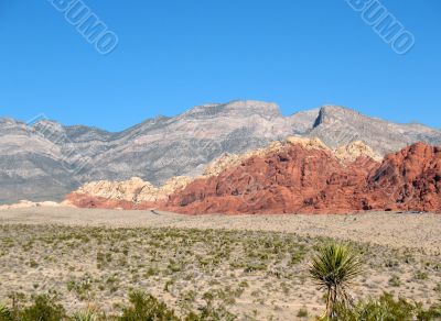 Red Rock Canyon, Nevada