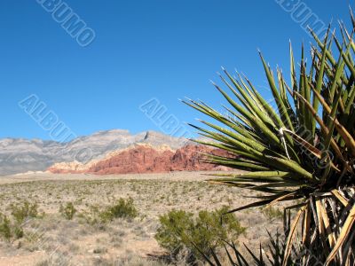 Red Rock Canyon, Nevada