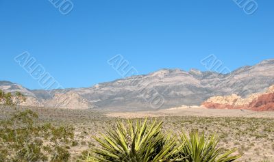 Red Rock Canyon, Nevada