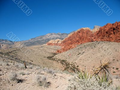 Red Rock Canyon, Nevada