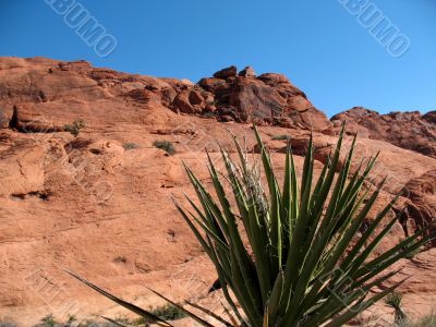 Red Rock Canyon, Nevada