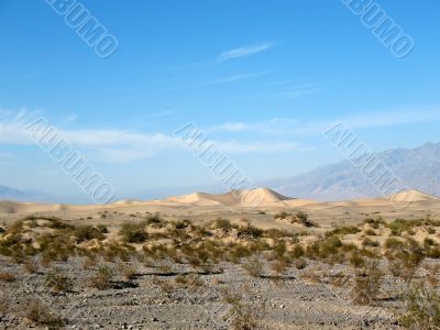 Sand dunes, Death Valley, California