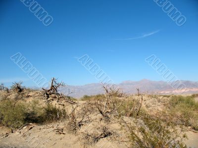 Sand dunes, Death Valley, California