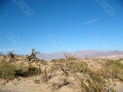 Sand dunes, Death Valley, California Sand dunes, Death Valley, California