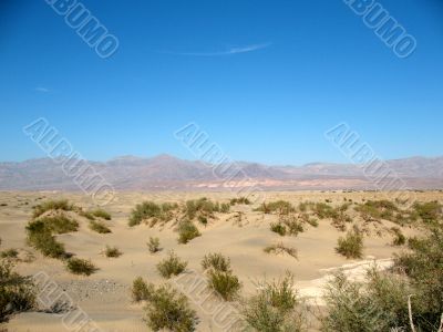 Sand dunes, Death Valley, California