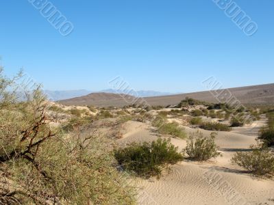 Sand dunes, Death Valley, California