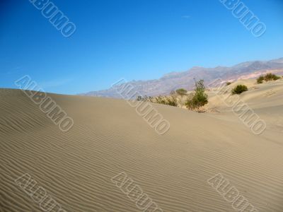 Sand dunes, Death Valley, California