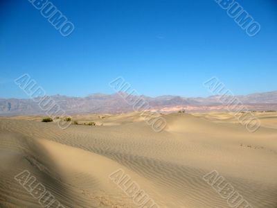 Sand dunes, Death Valley, California