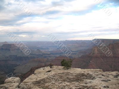 Grand Canyon, Arizona