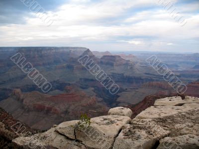 Grand Canyon, Arizona