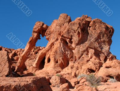 Elephant Rock, Valley of Fire, Nevada