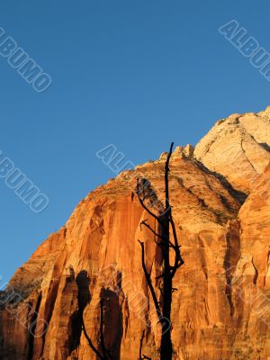 Zion National Park, Utah