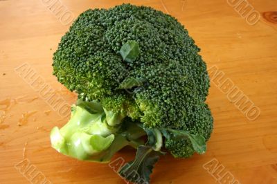 Fresh raw brocolli