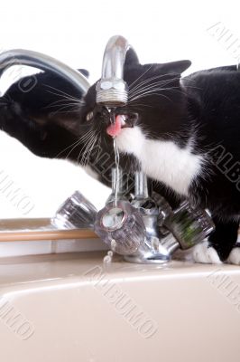 Drinking from the tap