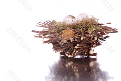 Bird nest Bird nest