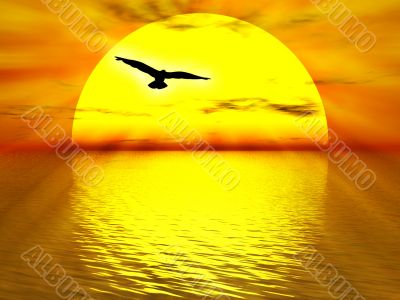 The sun The sun