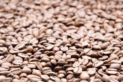 coffee beans coffee beans