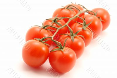 group of tomatoes