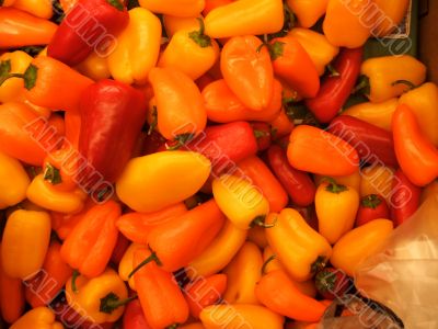 Orange, Yellow, and Red Hot Peppers