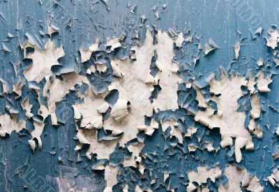 Wall of the thrown house