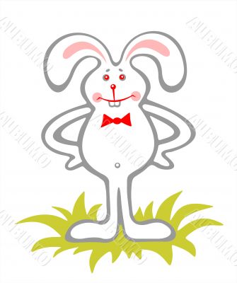 amusing rabbit