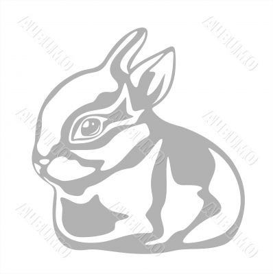 ornate rabbit