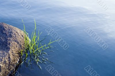 Stones and grass in water surface