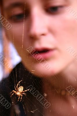 Girl looking at spider web