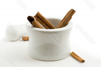 cinnamon bark cinnamon bark