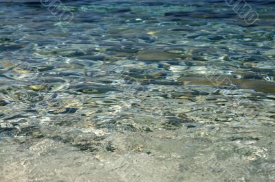 Water Water