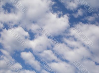 blue and white blue and white