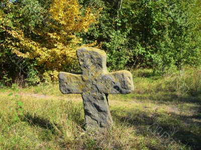 Cross Cross
