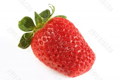 strawberries on white background - close up on texture