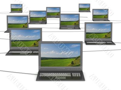 Conceptual image of a network from laptops. 3D illustrations.