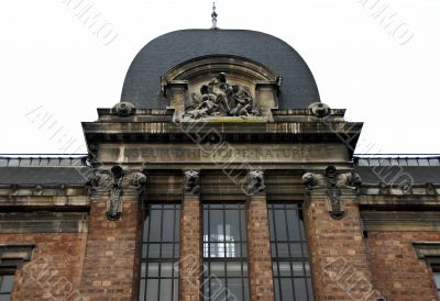 museum d`histoire naturelle de Paris