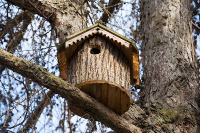 The bird house