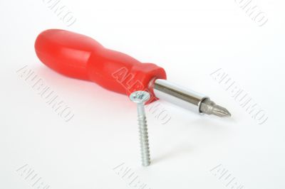Screw and screwdriver